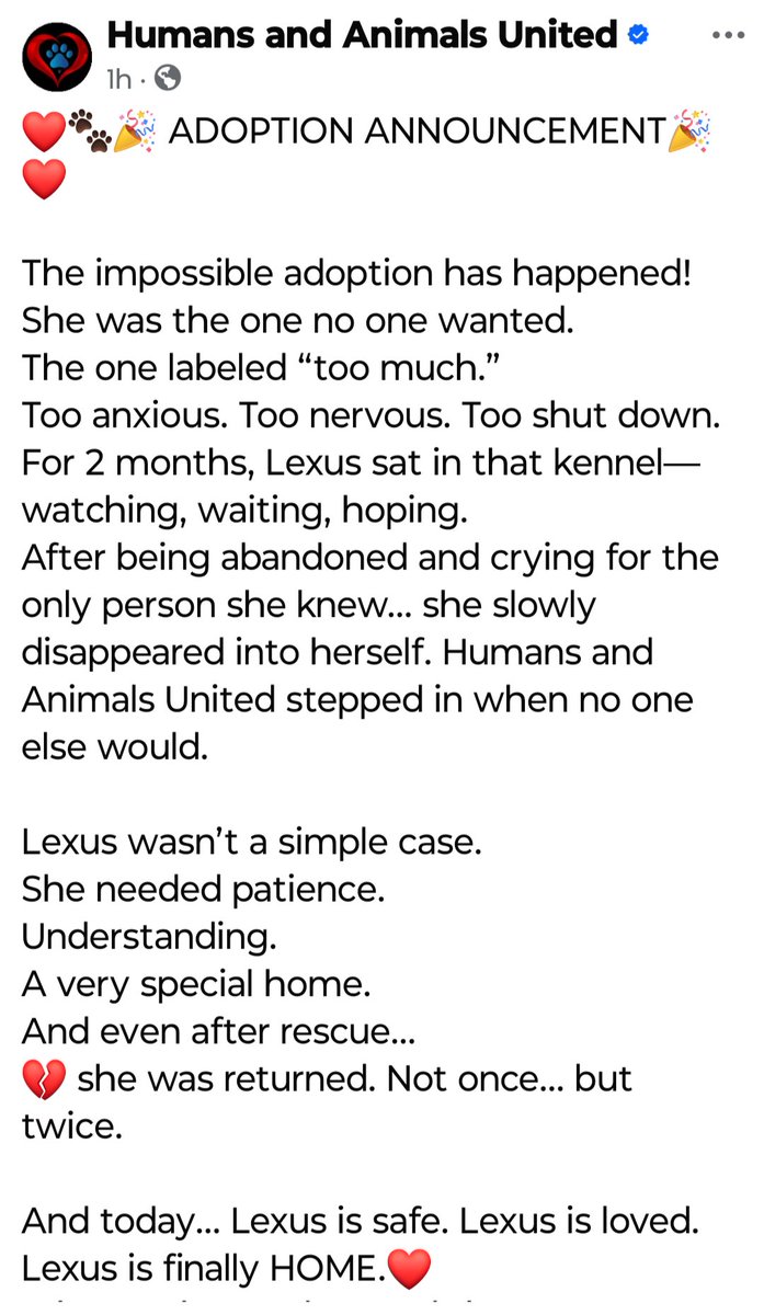 What a joke #rosafond is!

Read the last sentence of the first paragraph. Then lets correct the record. Lexus was pulled over other dogs due to HIGH PLEDGES!

Doubt it? Ask Rosa Fond to show where she pulled a dog based on need. One with little to no pledges.

She can't! 

#haau