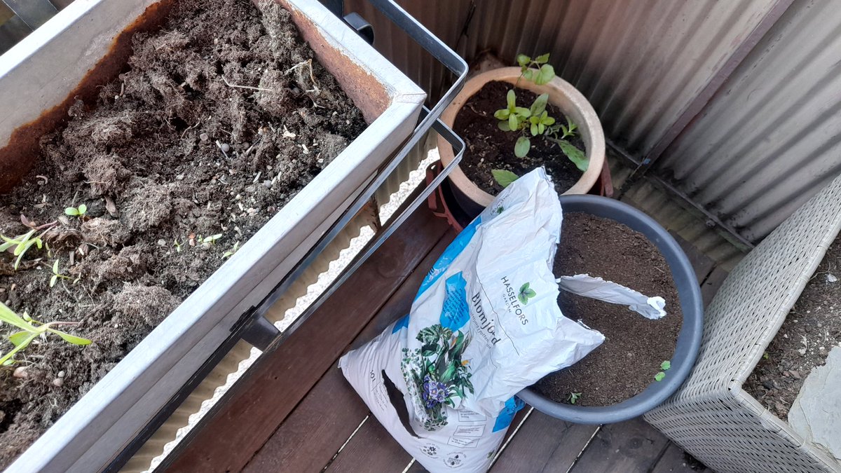 SwedishGamester's tweet photo. I thought about going to #TheGym today but have been extremely #lazy and never went there! ๐
So I've mostly just watched #YouTubeVideos all day, but at least now I have also sown #seeds in the #WindowBoxes and #FlowerPots on my #balcony! Gonna be #fun to see what will #grow! ๐ https://t.co/PpDItuNeLW