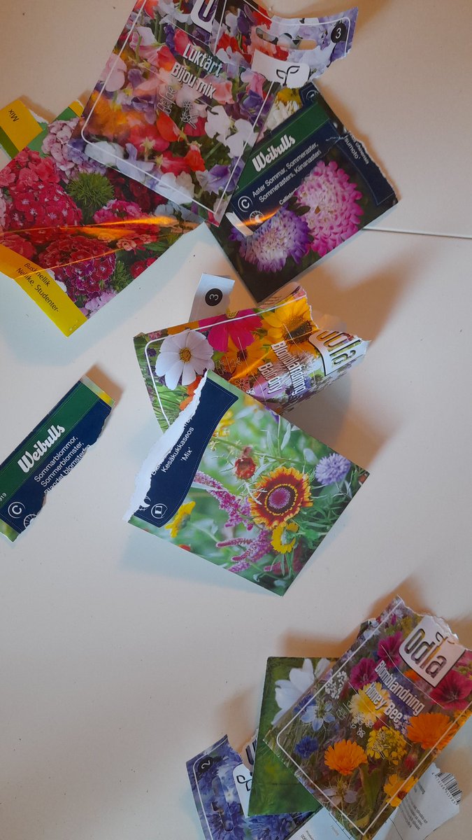 SwedishGamester's tweet photo. I thought about going to #TheGym today but have been extremely #lazy and never went there! ๐
So I've mostly just watched #YouTubeVideos all day, but at least now I have also sown #seeds in the #WindowBoxes and #FlowerPots on my #balcony! Gonna be #fun to see what will #grow! ๐ https://t.co/PpDItuNeLW