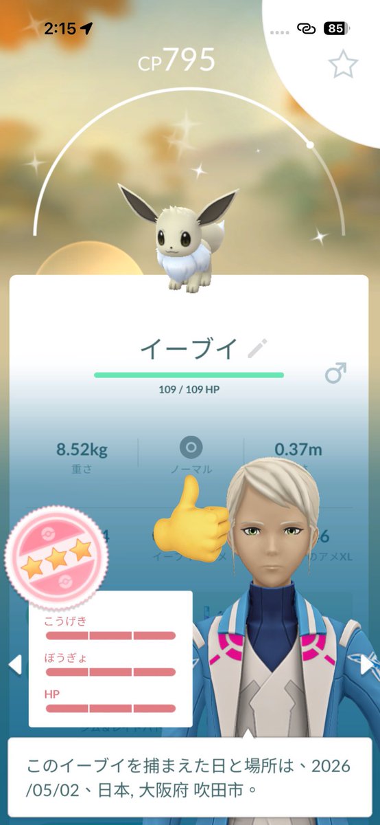 琴 tweet media