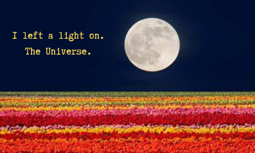SWilkingHoran's tweet image. It's #Friday. It's May 1st. And it's another #fullmoon #weekend. The Full Flower Moon represents abundance, renewal &amp;amp; personal growth. Enjoy! #Fridayvibes #weekendvibes #NatureIsAwesome #astronomy #wellbeing #mentalhealth #beauty #mayday