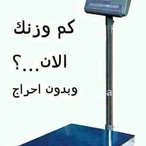 نـوف tweet media