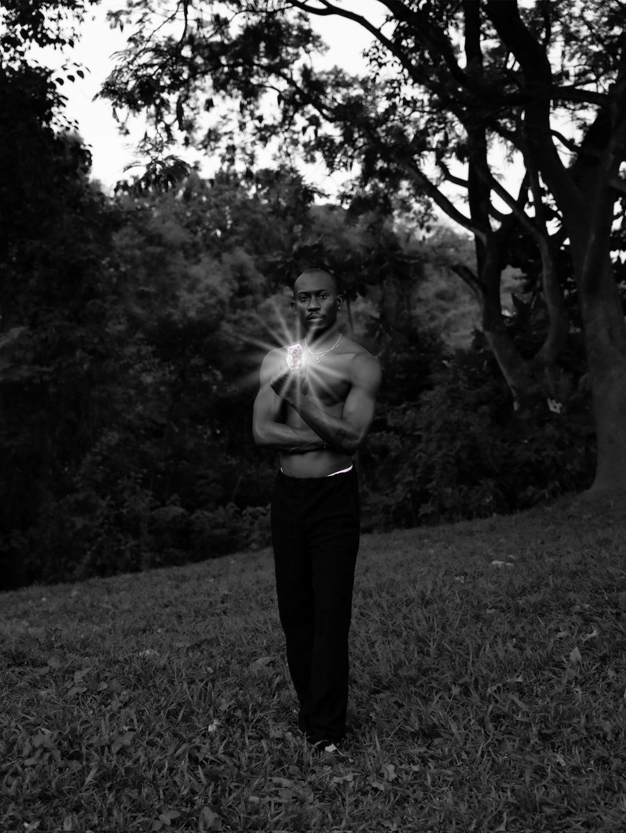 Paul and the Camera tweet media