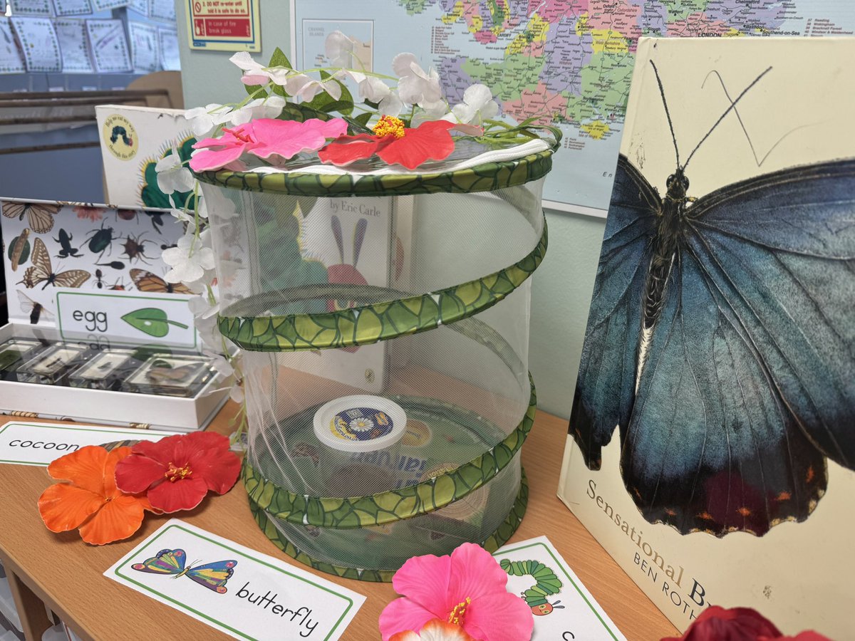 Teacherglitter's tweet image. I absolutely adore the curiosity snd awe and wonder you get teaching EYFS. This has been a superb week for seeing eyes light up and new learning embedded. Love my job #eyfs