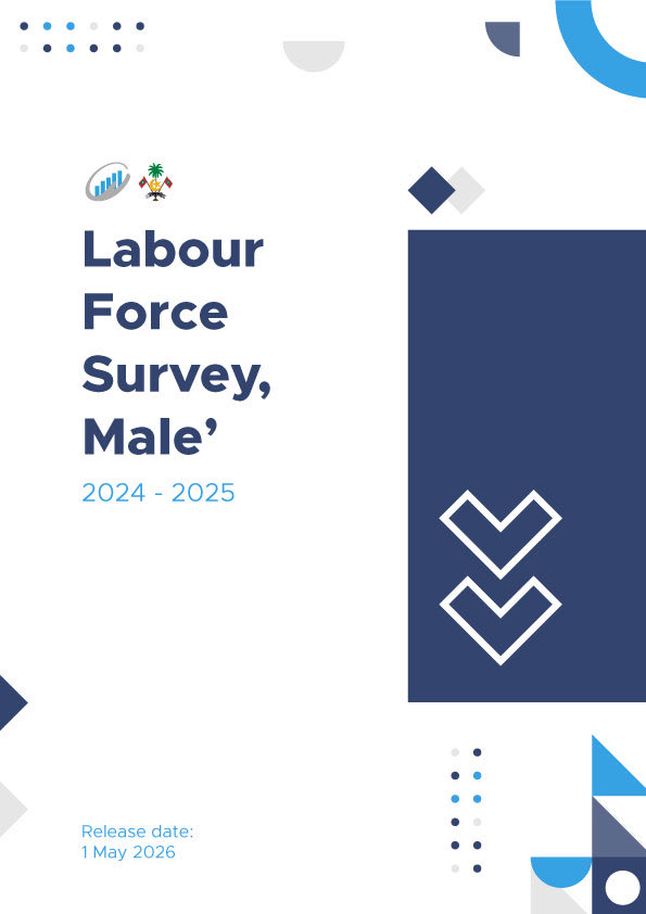 Statistics Maldives tweet media
