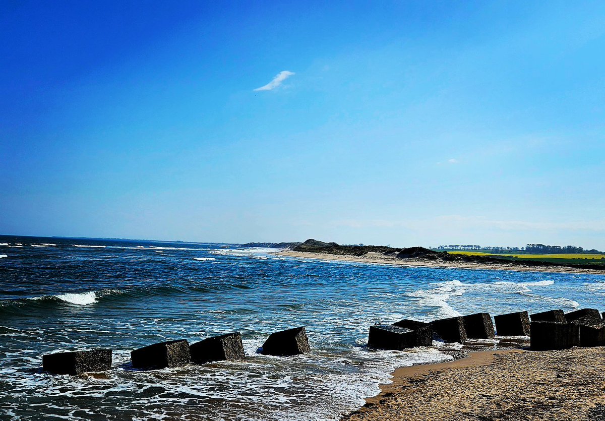 blonde_on_bikes's tweet image. Amble to Warkworth Circular walk via Warkworth Castle. Stopping in by Alnmouth on the way back.
#Northumberland #Amble #Warkworth #Alnmouth