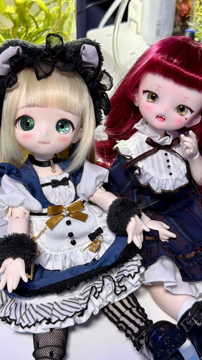 少女計画【official】🎪創作人形&鉱物アイ (@SKDoll_official) / Posts / X