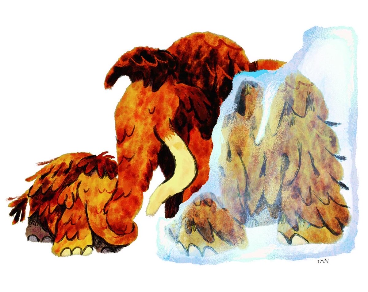 “Melting the Iceberg” drawn earlier this year 🦣