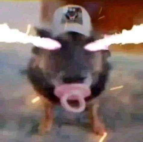 ʟɪɴxsssss tweet media