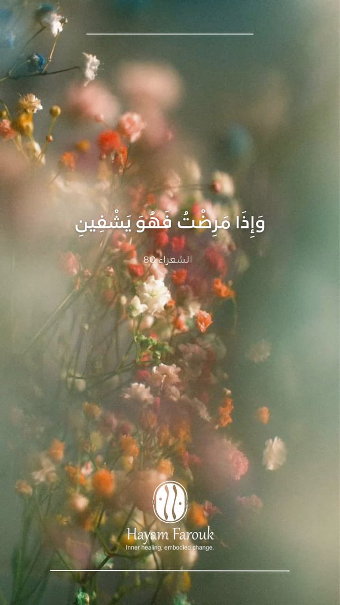 هيام فاروق tweet media