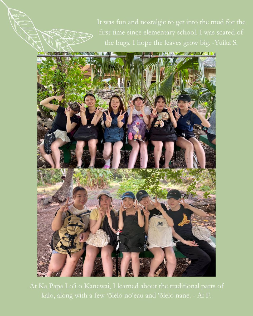 StudyHawaii's tweet image. Aloha Friday from Study Hawaii and The Hawaiʻi English Language Program (HELP) at UH Mānoa!!!!

Lets take a look at 🌿 #communityservice at Kanewai Lo'i teaches us the history and culture of the Hawaiian people and what #HELPstudents thought about the experience.