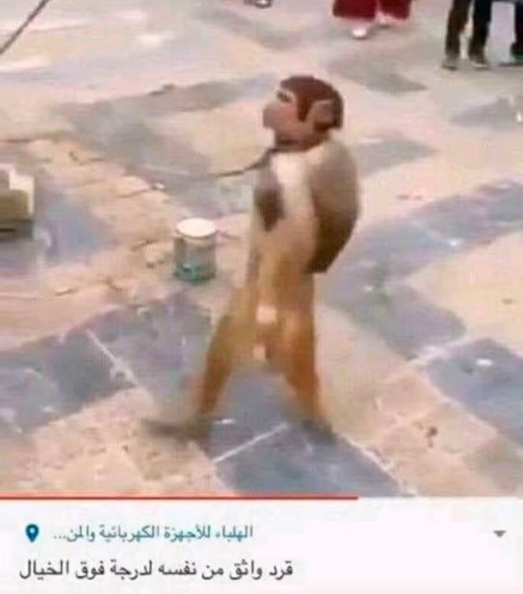 سهم tweet media