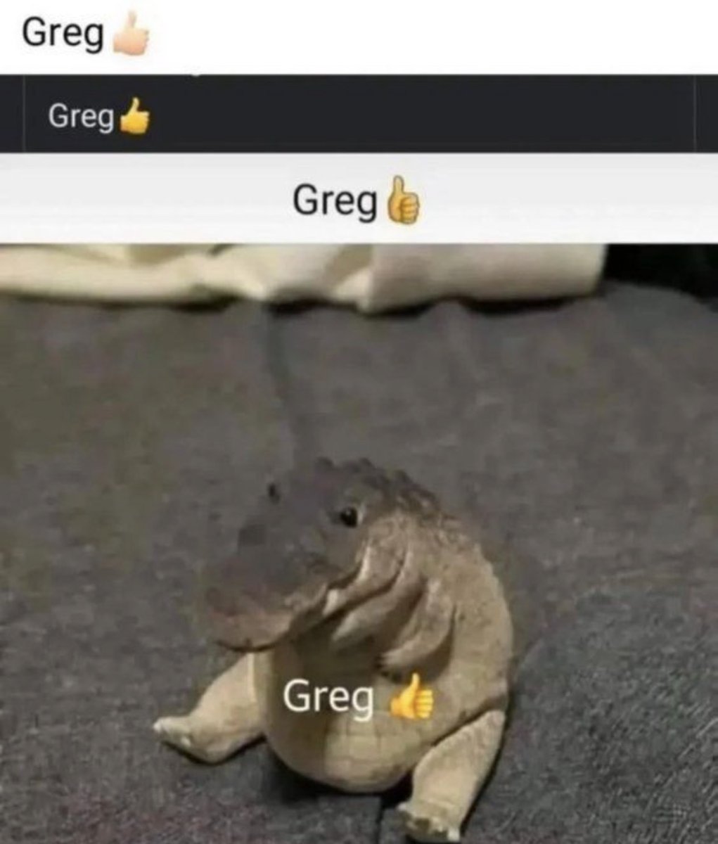 RespectfulMemes's tweet photo. https://t.co/xMDgMv9J4i