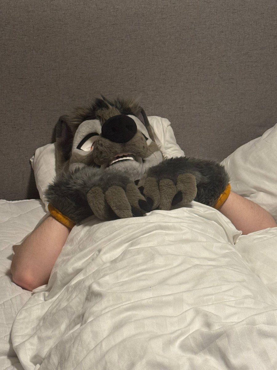 SigmaArcade's tweet photo. Happy #FursuitFriday ! I got plenty of extra space in this bed!~

#furry #fursuit 

📸: @Curacaofox https://t.co/cRhSfjzr5c