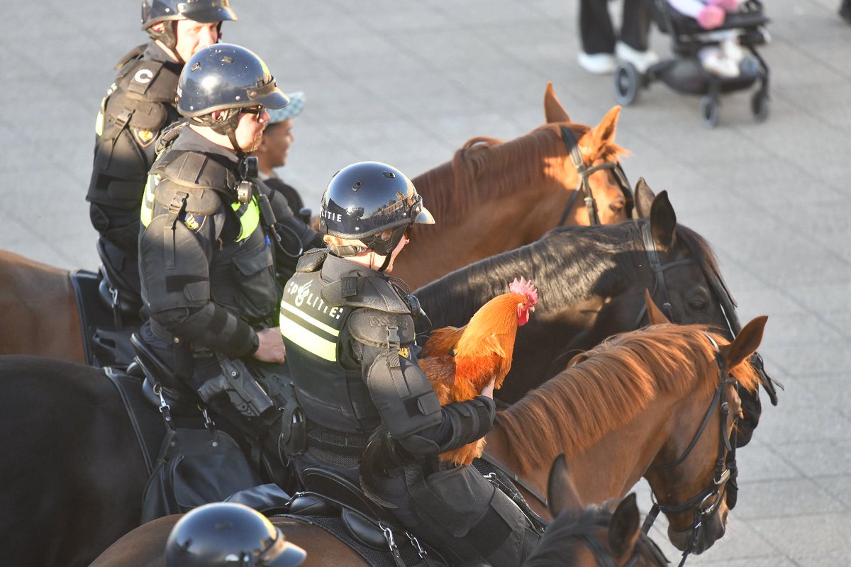 Oproep voor bijeenkomst in Scheveningen; politie betrokken