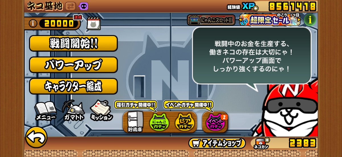 にゃんこ tweet media