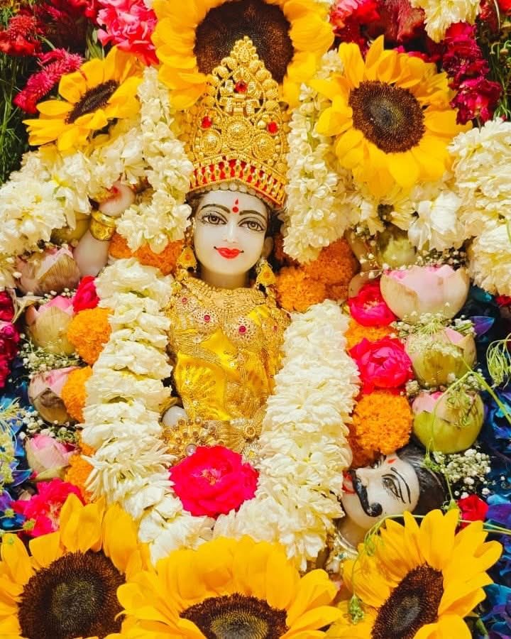 Maa BaglaMukhi Mandir tweet media