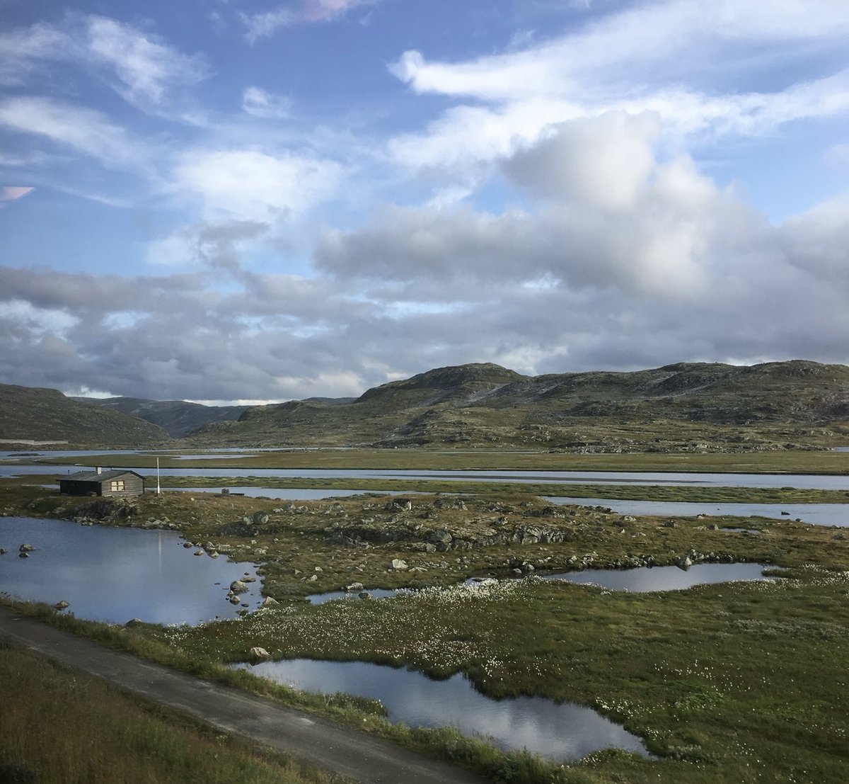 ShahidMAskerN's tweet image. Finse 💙🤍
#Norway