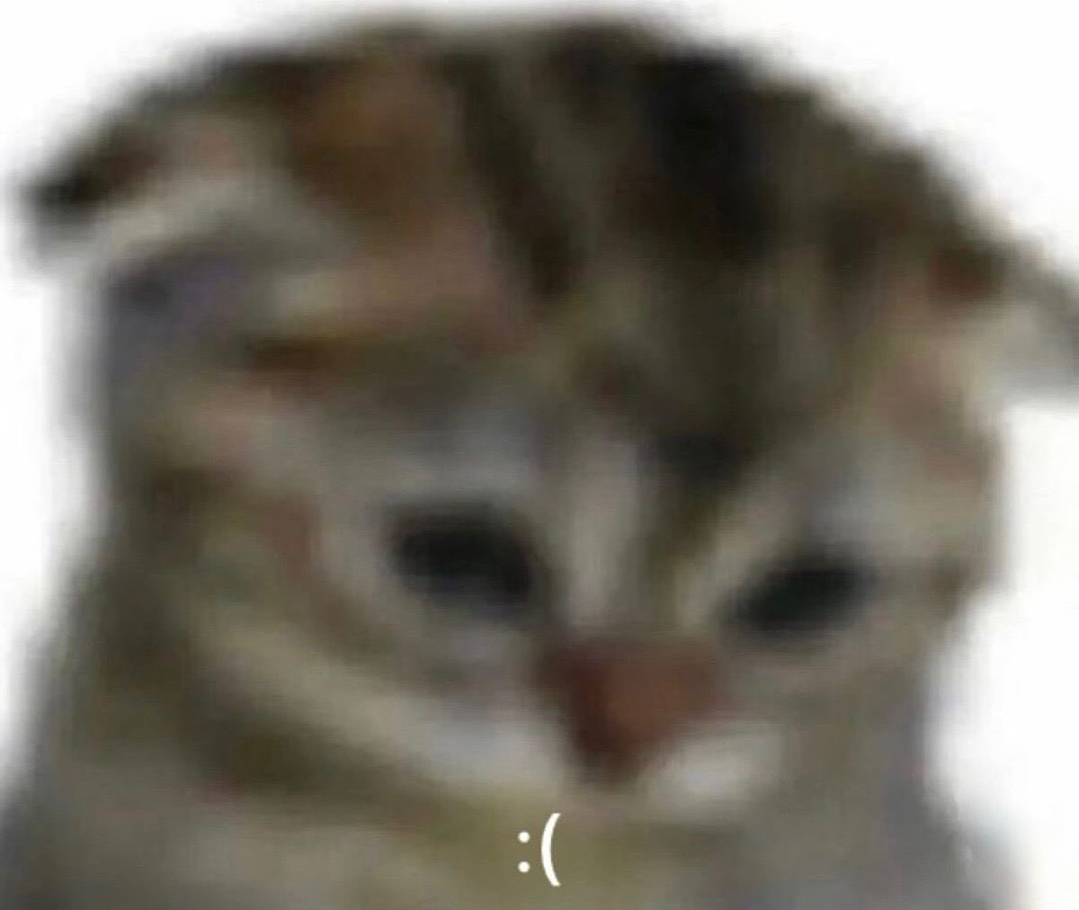 𝓈𝑒𝓇𝒶𝓎𝓊, gista. tweet media
