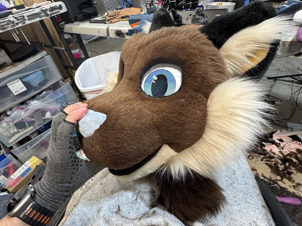 PizzaShepp/RumBun ➡️ Fwa tweet media