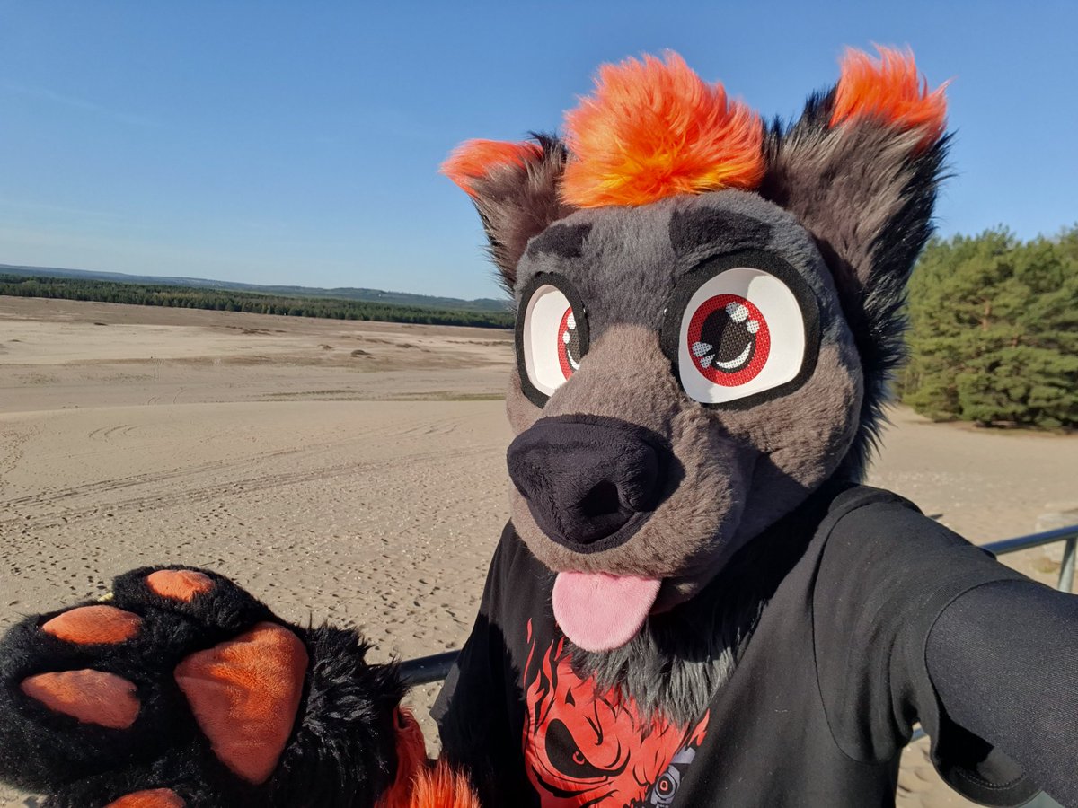 DigiBlaze Cyberfosky (DigiDash) 🇺🇦🔞 @EF, Pawska tweet media