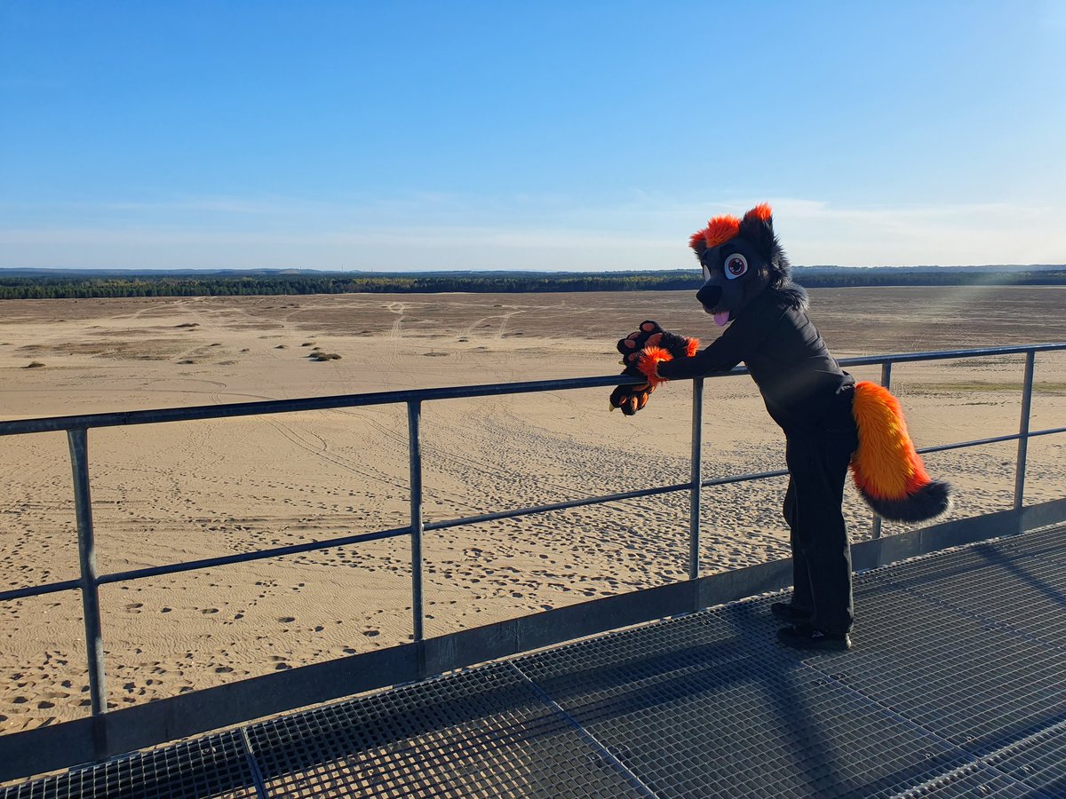 DigiBlaze Cyberfosky (DigiDash) 🇺🇦🔞 @EF, Pawska tweet media