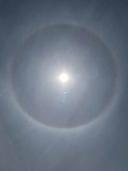 Mysongshari's tweet image. #nashville #today #earlier #lookup #halos