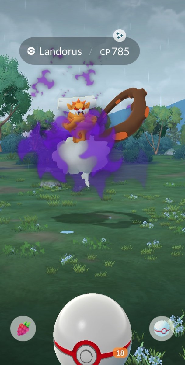 RaspberryWeiner's tweet image. Shiny! 👀✨️
#pokemongo