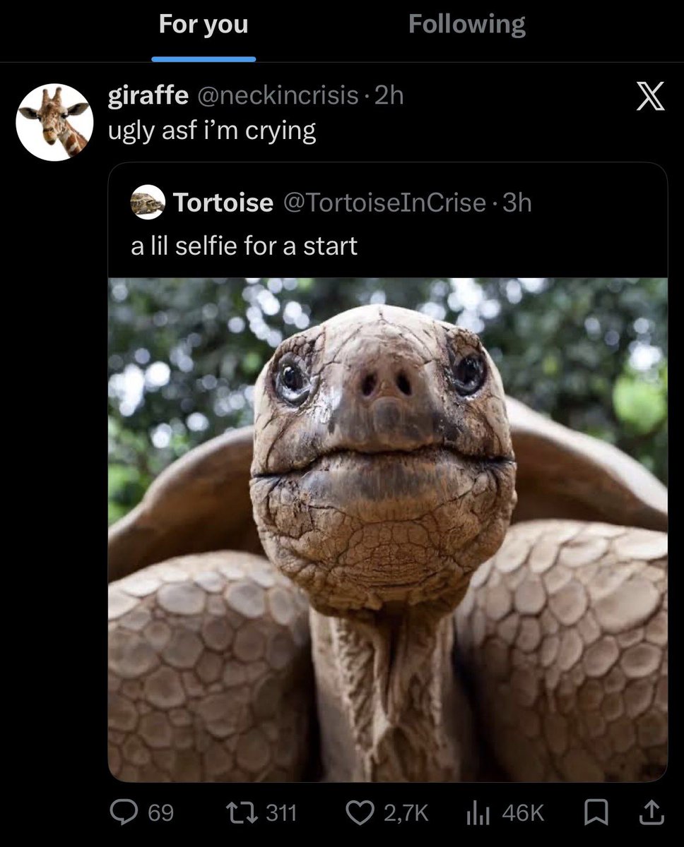 gia tweet media