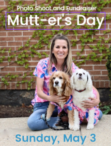 GaryDare's tweet image. Hey #Chicago! .@SecondCityK9 Mutt-er's Day photoshoot #pets #charity #fundraiser 

#host @PollyannaBrewCo #Roselle

Sunday 5/03, Noon - 4 PM

sccrescue.org/event/mutt-ers…

#AdoptDontShop #AdoptDontBuy #adoptaseniorpet #AdoptAShelterPet #AdoptAShelterDog #dogs #puppies

#DrinkForGood