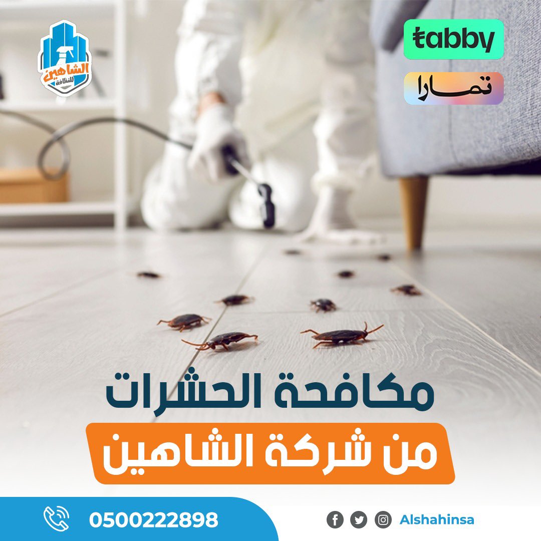 Alshahinsa's tweet photo. تعاني من الصراصير أو الحشرات؟
خل الحل على الشاهين للنظافة بحفر الباطن 💪

✔️ رش مبيدات آمن
✔️ نتائج سريعة
✔️ ضمان على الخدمة

📞 0500222898
💳 تمارا | تابي 

#مكافحة_حشرات_بحفر_الباطن
#رش_مبيدات
#الشاهين_للنظافة https://t.co/WqDoQdJXom