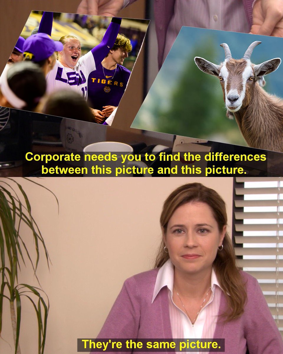 LSU Softball tweet media