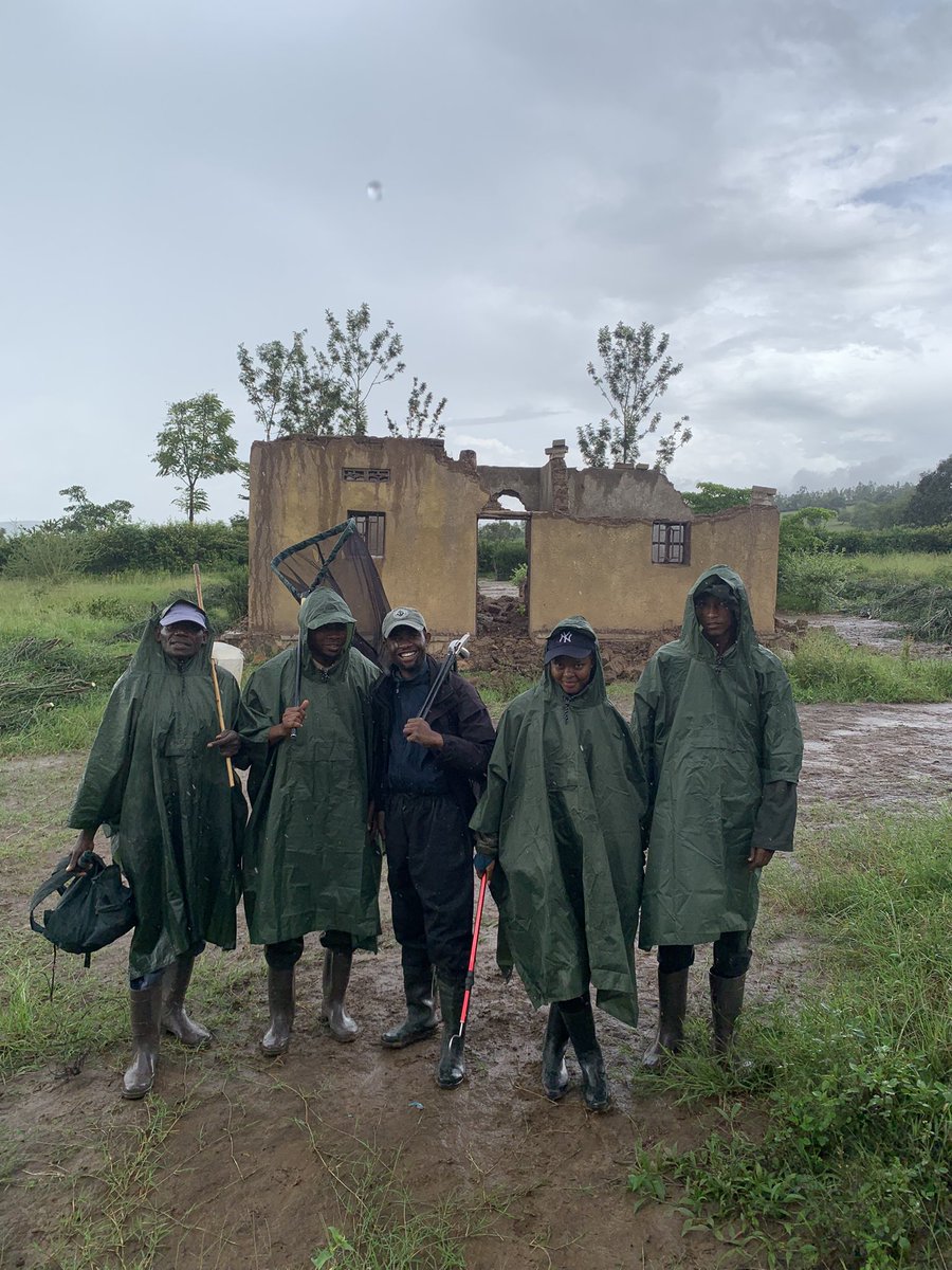 Mapendo MINDJE (Frogman of Rwanda) 🇷🇼 🐸 tweet media