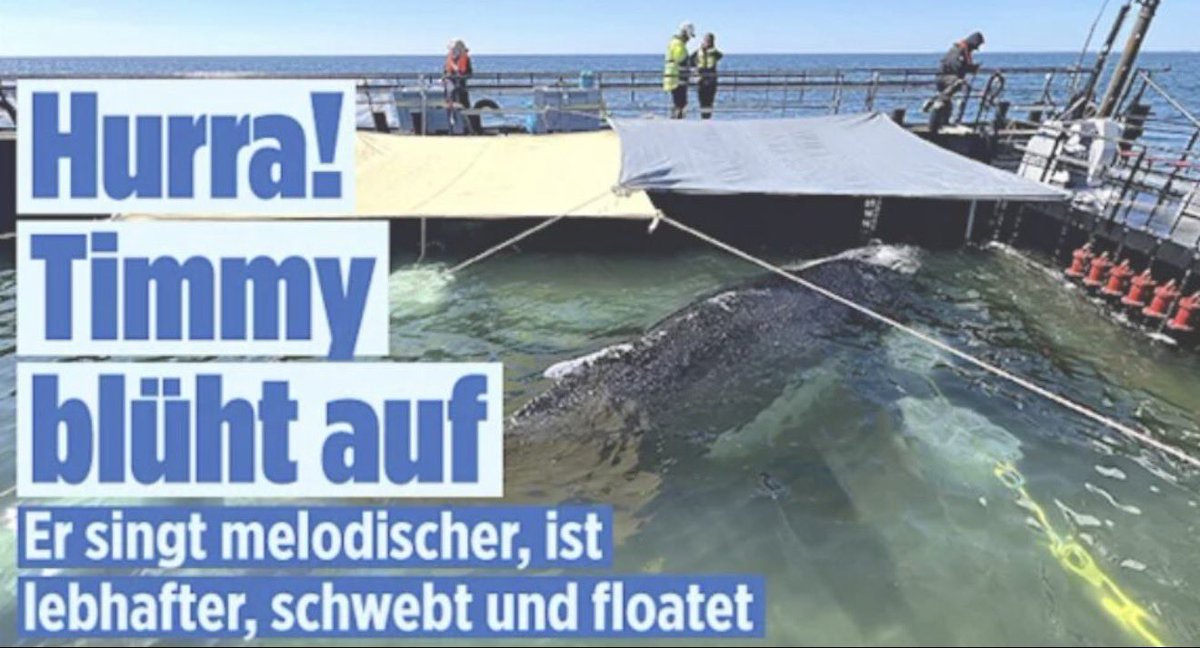 DerKanzler tweet media