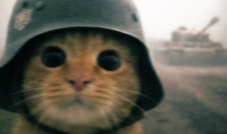 DogePlayMid tweet media