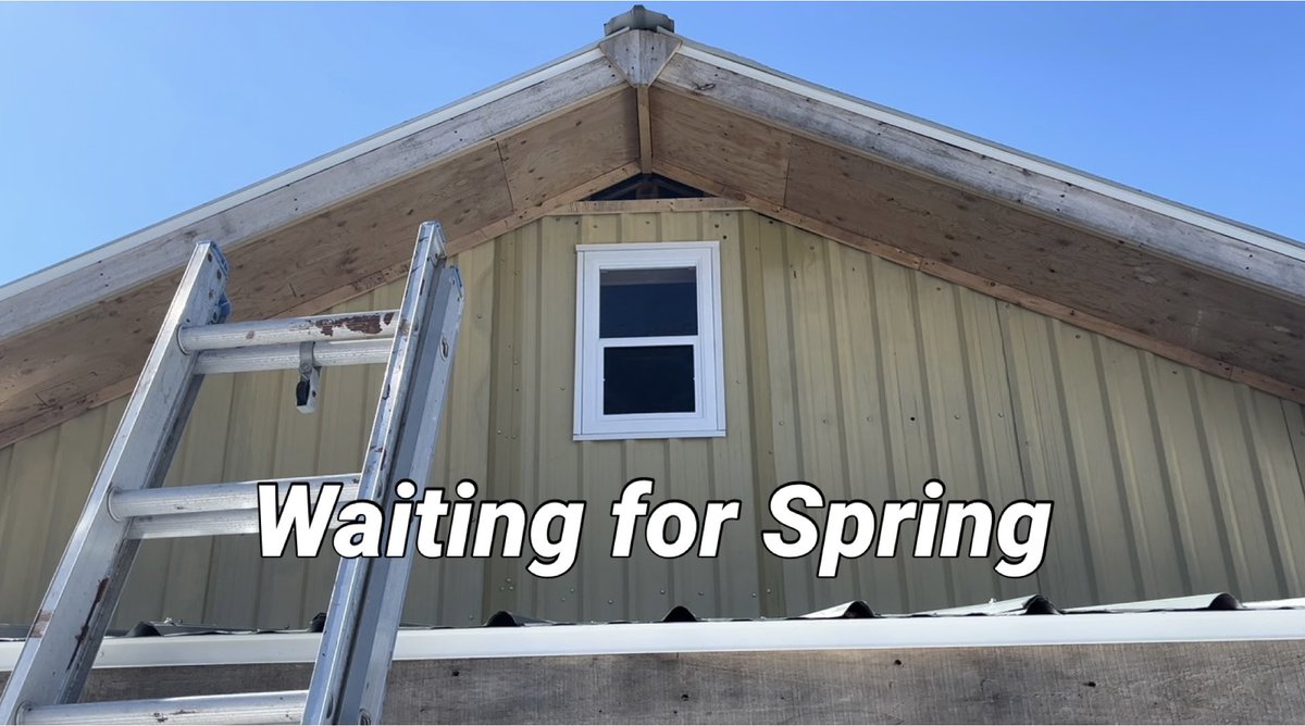 BWP_Rediger's tweet image. Pallet Cabin - Tiny Pallet Cabin on the Prairie Part 43 - E318 #handyman #spring #geese
youtu.be/9A6_MCXZUcY