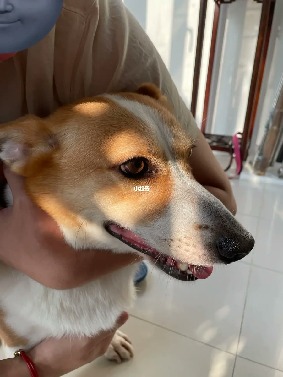 Thaker Bhargav tweet media