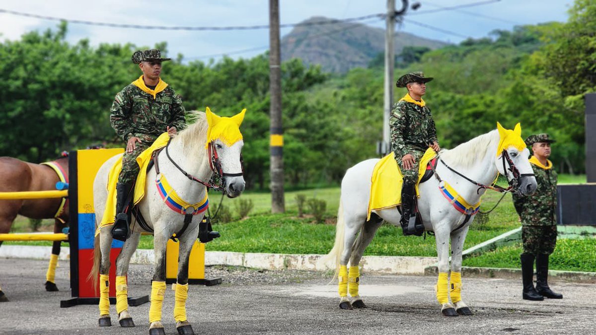 Ejercito_Div8's tweet photo. Estamos presentes en todos los rincones del departamento del #Casanare, bajo nuestro lema, nuestro compromiso es colombia, garantizamos la seguridad para que cada habitante de esta hermosa región, se sienta seguro.

#ViajeSeguro 🇨🇴 https://t.co/0fvscEfKUx