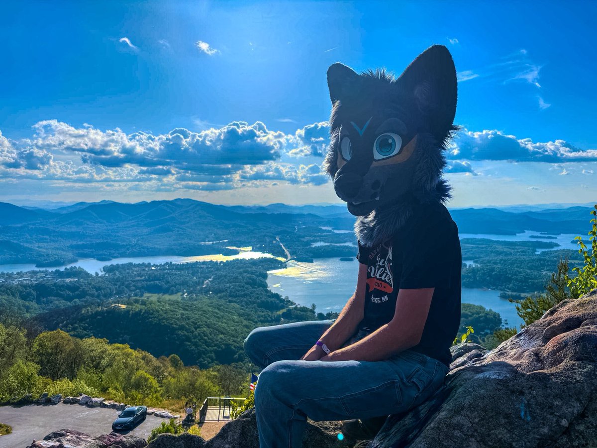 Spade The Yote tweet media