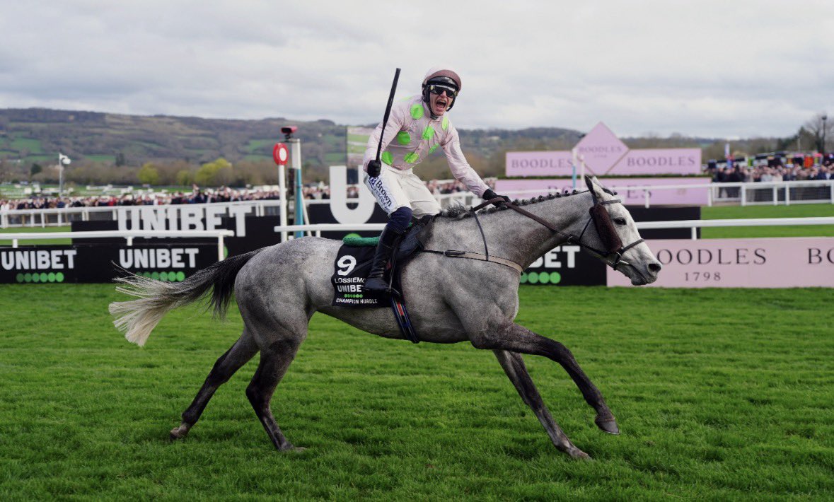 Owen🐎 tweet media
