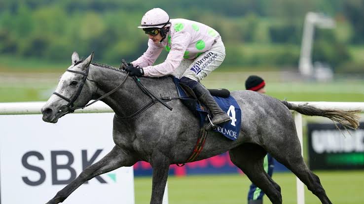 chris🐎 tweet media