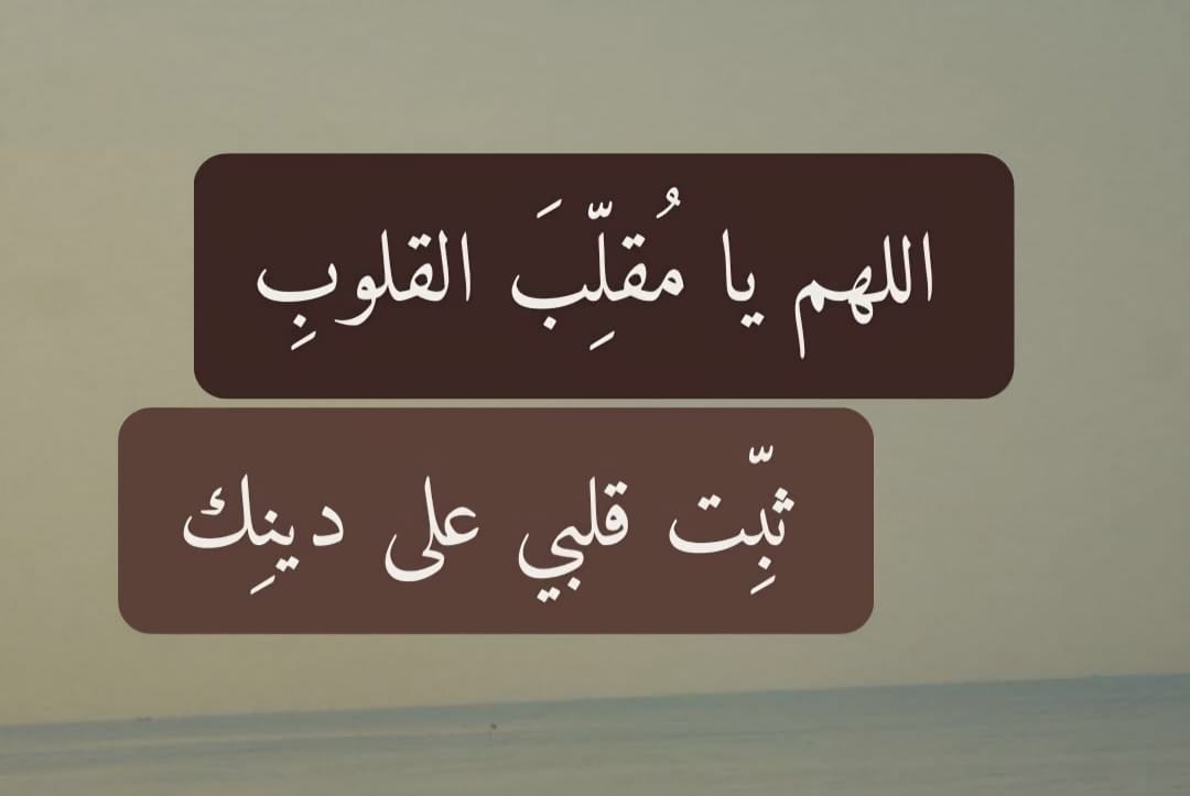 ميار tweet media