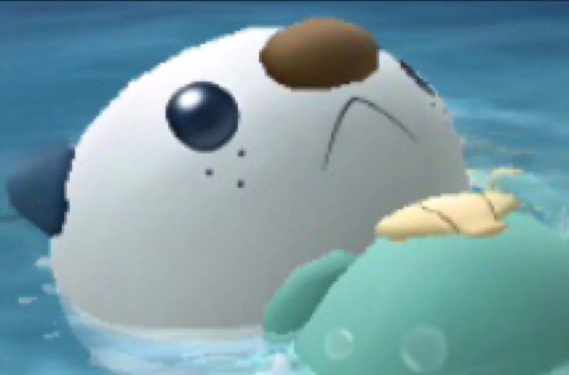 Pokémon Aesthetics tweet media