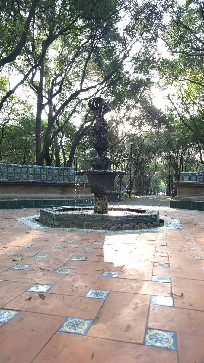 efrencasas's tweet image. #TGIFriday #FridayMotivation #running #nikerunning #yoelegicorrer #fitover61 #corrersana #laufen #RunDay #Chapultepec #CDMX #esdecorredores