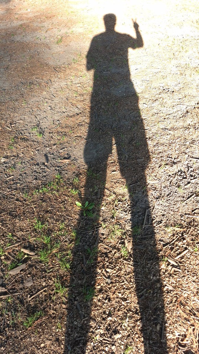 efrencasas's tweet image. #TGIFriday #FridayMotivation #running #nikerunning #yoelegicorrer #fitover61 #corrersana #laufen #RunDay #Chapultepec #CDMX #esdecorredores