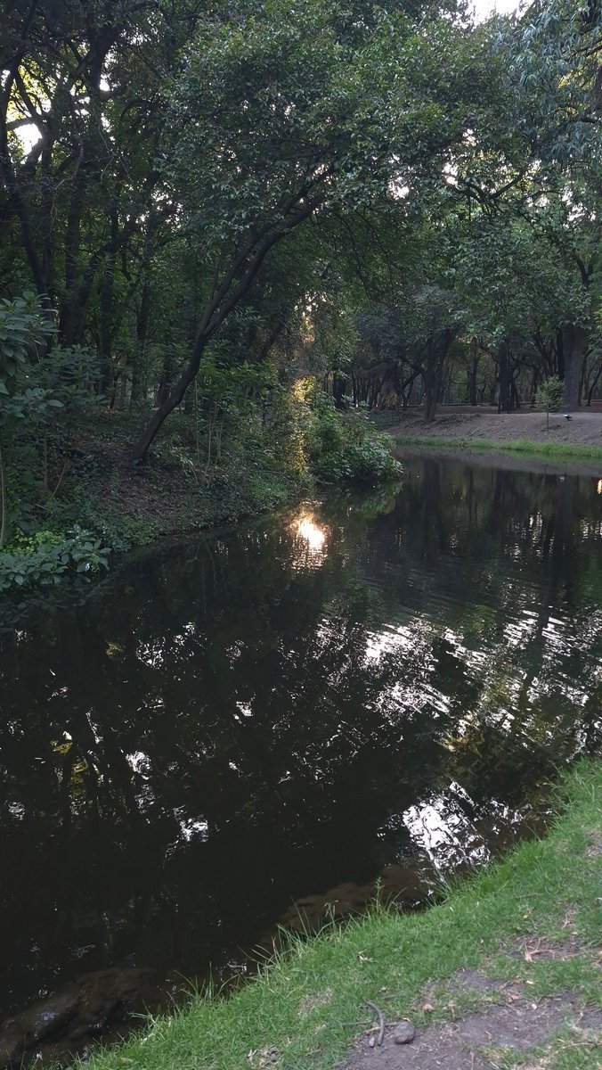 efrencasas's tweet image. #TGIFriday #FridayMotivation #running #nikerunning #yoelegicorrer #fitover61 #corrersana #laufen #RunDay #Chapultepec #CDMX #esdecorredores