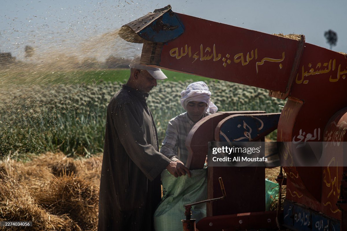 Ali Moustafa tweet media