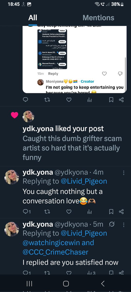 The Livid Pigeon tweet media