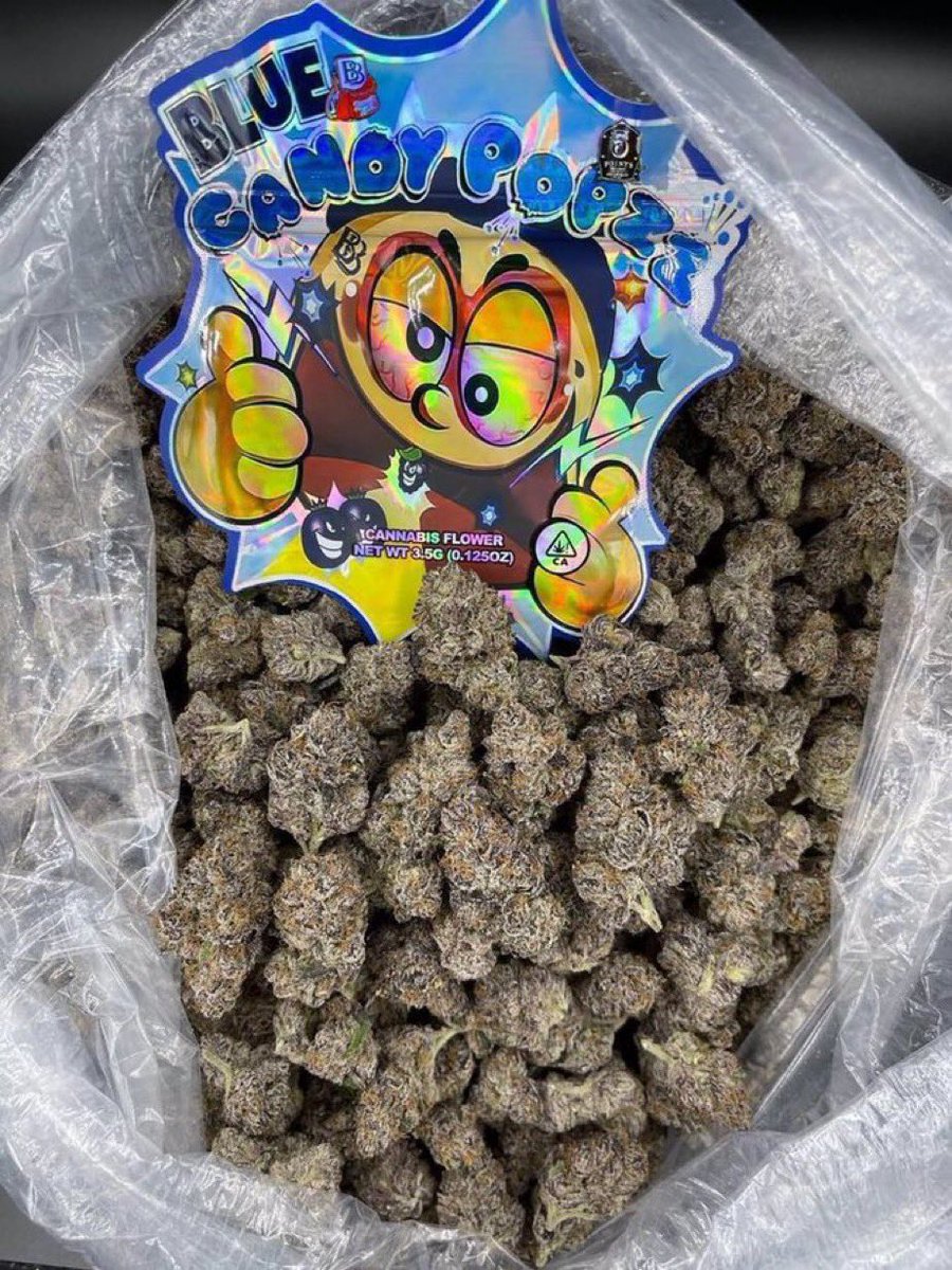 gblissbud5's tweet image. Gainesville 352 and West Palm Beach 561! 🔥🌿 weed, zaza, gas, loud, bud, kush, fire, exotic pack, dank 💨 Lit? Drop spot 📍👇 #Gainesville #WestPalmBeach #Florida420 #ZazaSeason #GasOnly