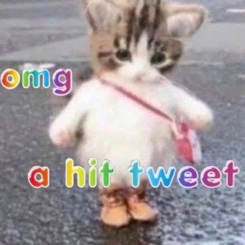 pri tweet media
